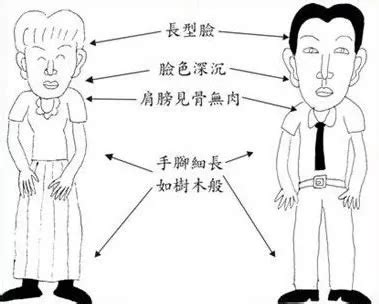 木形人|體相識人——五行形相